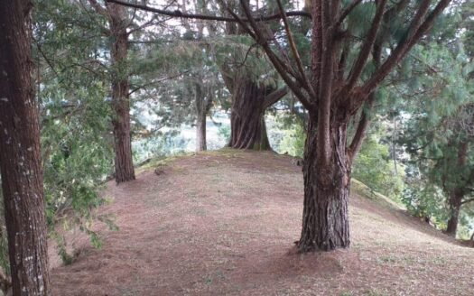 LOTE EN VENTA – VEREDA LA CONVENCIÓN, RIONEGRO